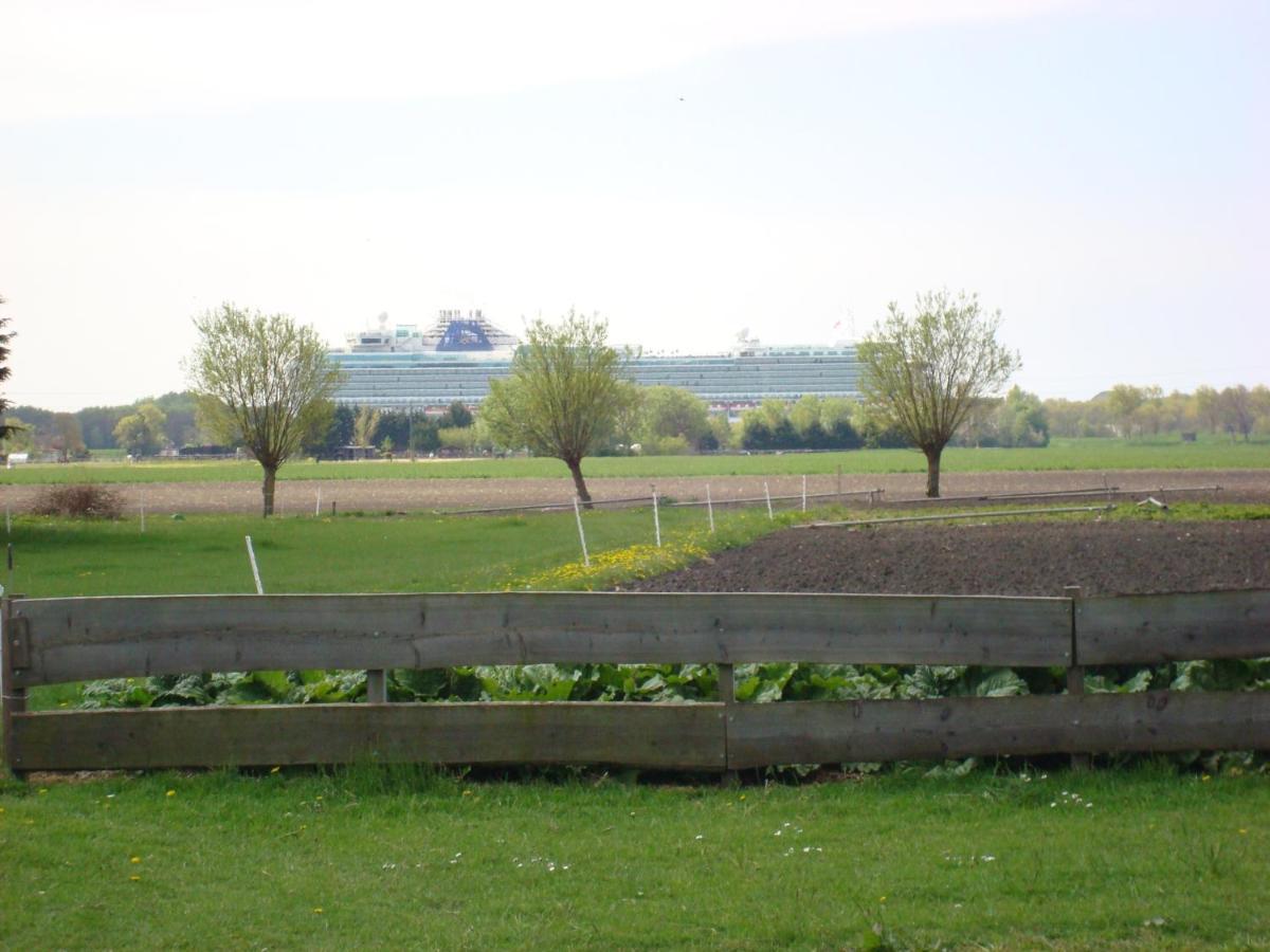 Boerenskuur De Bedstee Groen Assendelft Exteriér fotografie
